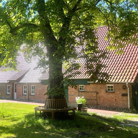 Ferienwohnung Mit Garten In Meyenburg - Keine Monteure Schwanewede Eksteriør bilde